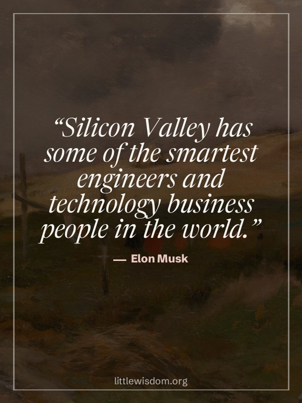 “Silicon Valley has some of the smartest engineers and technology business people in the w…”, Elon Musk. Wallpaper design 3.