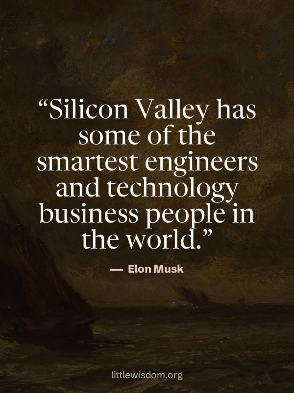 “Silicon Valley has some of the smartest engineers and technology business people in the w…”, Elon Musk. Wallpaper design 4.
