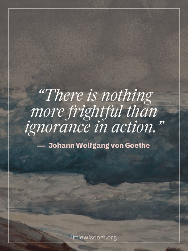 “There is nothing more frightful than ignorance in action.”, Johann Wolfgang von Goethe. Quote wallpaper.